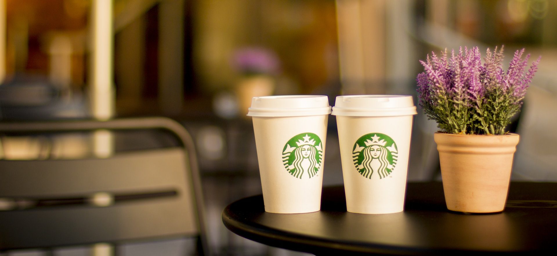 pexels photo e1504521512426