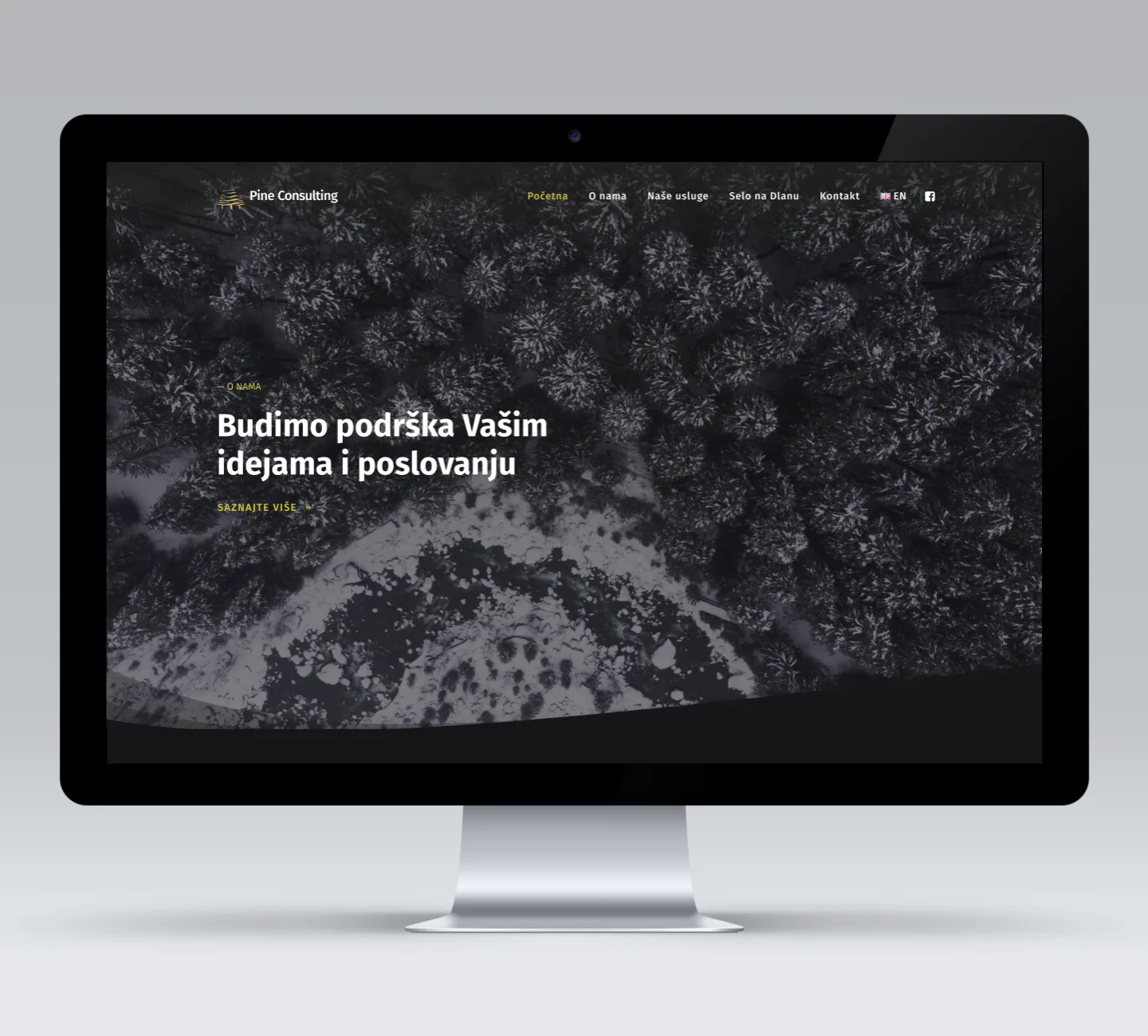 pine consulting izrad web stranice